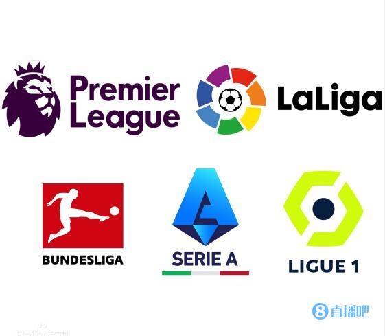 的培养投入 的培养投入